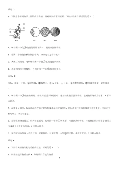 人教版2023初中生物七年级上册第二单元生物体的结构层次重点知识归纳.docx