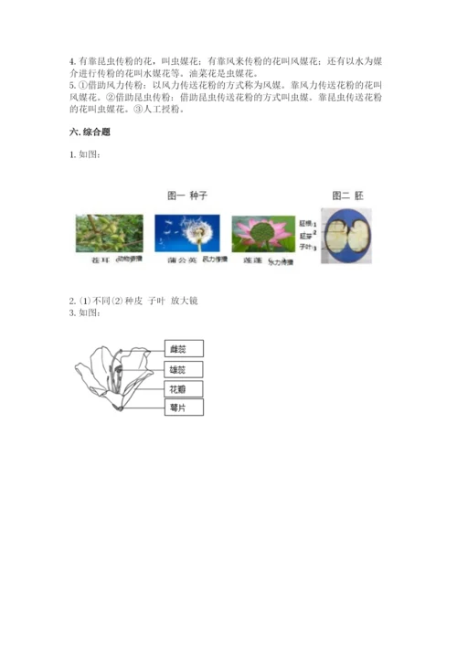 教科版四年级下册科学第一单元《植物的生长变化》测试卷附答案【巩固】.docx