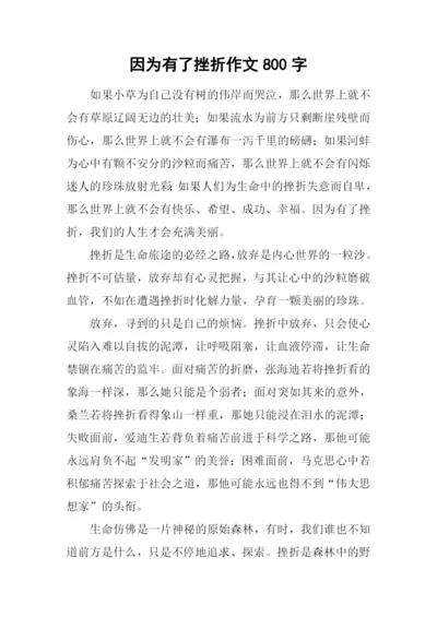 因为有了挫折作文800字.docx