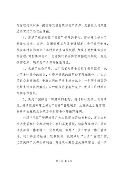 农村集体三资专项治理工作总结.docx