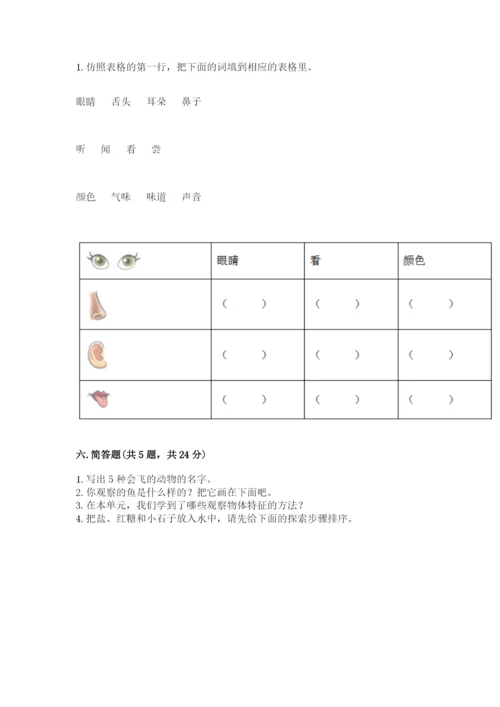 教科版小学科学一年级下册期末测试卷【全国通用】.docx