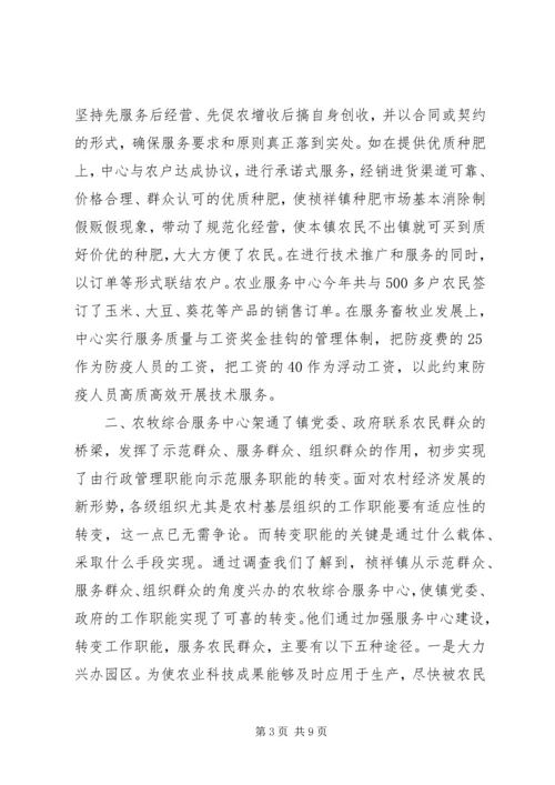 关于×镇农牧综合服务中心建设有关情况的调查 (5).docx