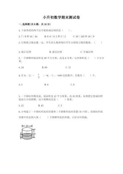 小升初数学期末测试卷及完整答案（名师系列）.docx