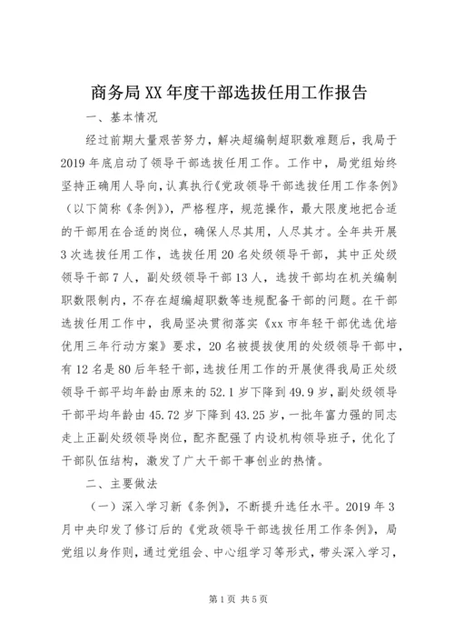 商务局XX年度干部选拔任用工作报告.docx