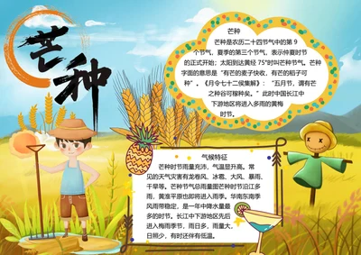 二十四节气芒种word小报