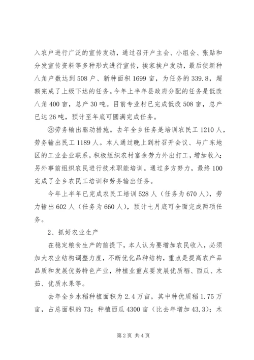 乡长个人工作总结.docx