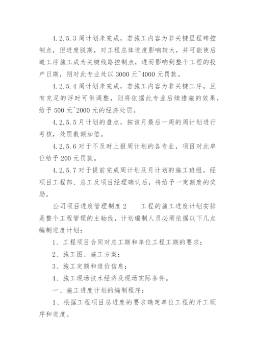 公司项目进度管理制度.docx