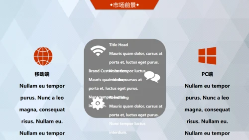 商业轻奢大气银灰色创业项目计划书通用PPT