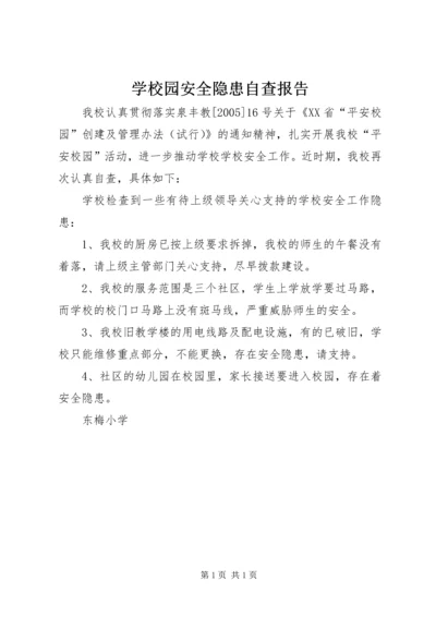 学校园安全隐患自查报告 (2).docx