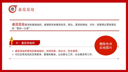 党支部党务知识微党课：党组织结构详解ppt课件