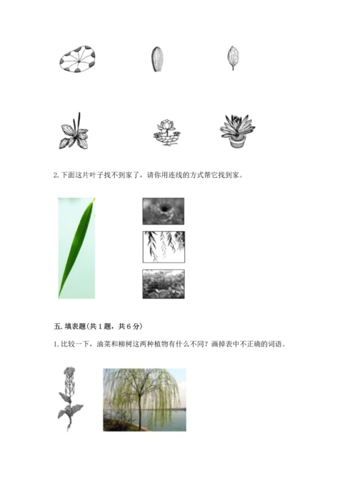 教科版科学一年级上册第一单元《植物》测试卷带答案（b卷）.docx
