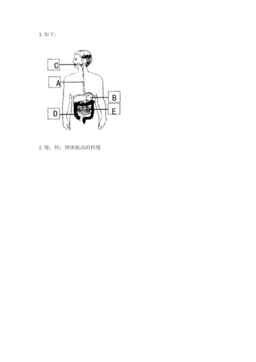 教科版四年级上册科学期末测试卷ab卷.docx