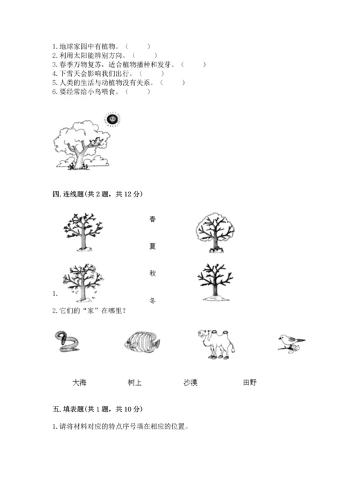 教科版二年级上册科学期末测试卷精品（名师推荐）.docx