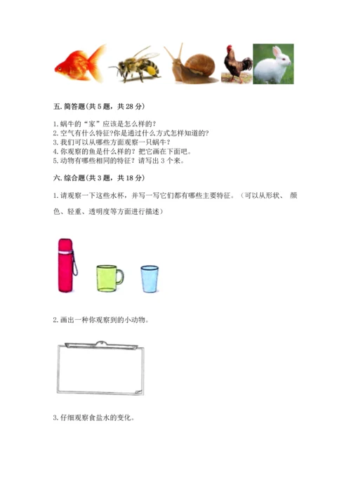 教科版一年级下册科学期末测试卷带精品答案.docx
