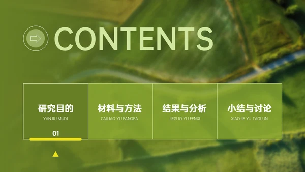 稻谷麦穗增产农作物与重金属污染通用PPT模板