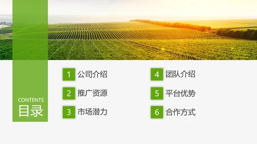 互联网运营推广方案PPT模板
