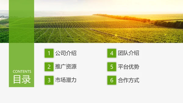 互联网运营推广方案PPT模板