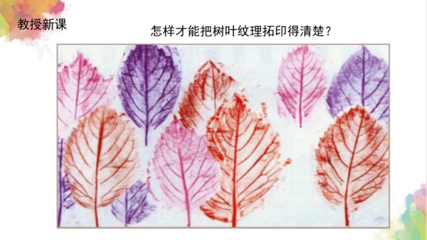 第十一课《拓印树叶真有趣》课件