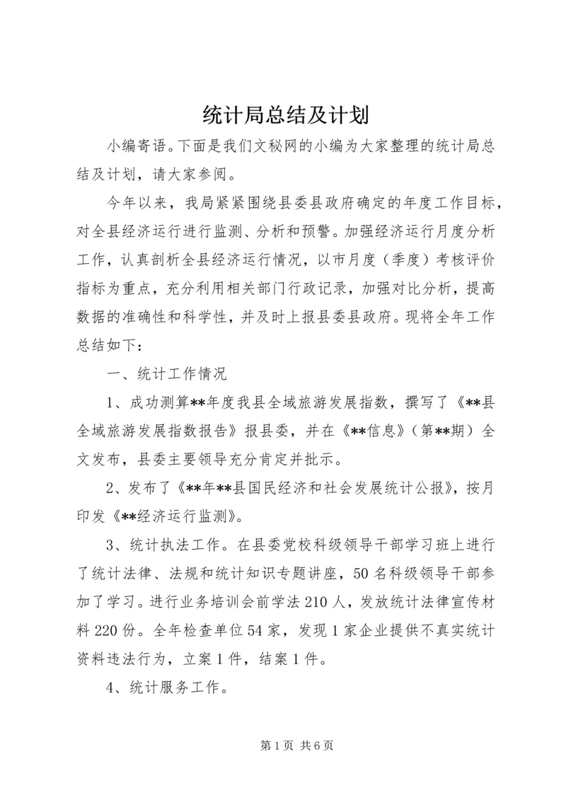 统计局总结及计划.docx