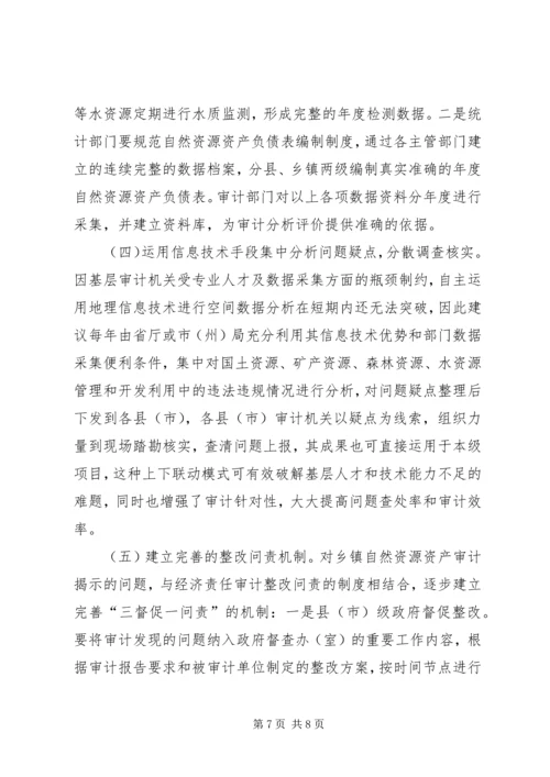 乡镇领导干部自然资源资产审计存在的问题及措施建议.docx