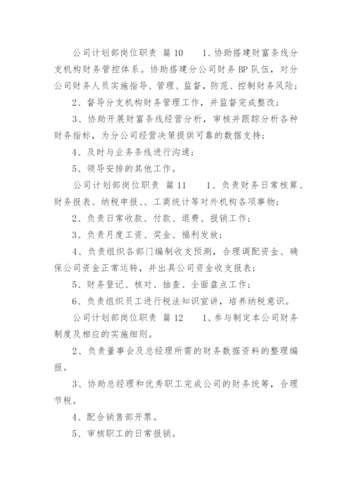 公司计划部岗位职责.docx