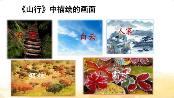 三年级上册4 古诗三首-山行课件(共20张PPT)