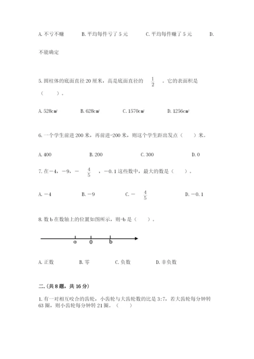 苏教版六年级数学小升初试卷（培优b卷）.docx