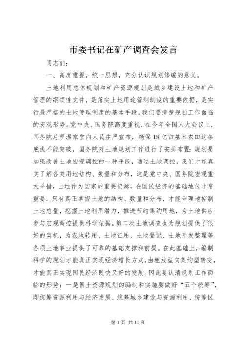 市委书记在矿产调查会发言.docx