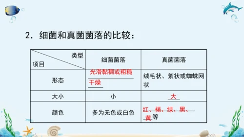 人教版八年级生物上册5.4《细菌和真菌》复习课件（含31张ppt）