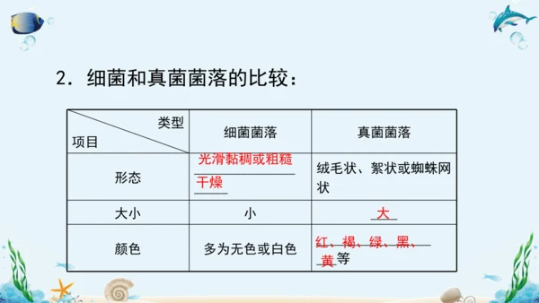 人教版八年级生物上册5.4《细菌和真菌》复习课件（含31张ppt）