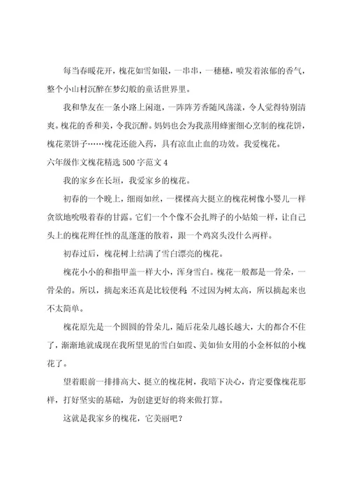 六年级作文槐花500字