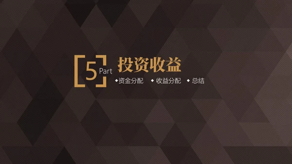 轻奢质感商业项目计划书通用PPT模板