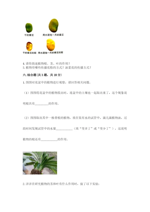 教科版四年级下册科学第一单元《植物的生长变化》测试卷及答案（有一套）.docx