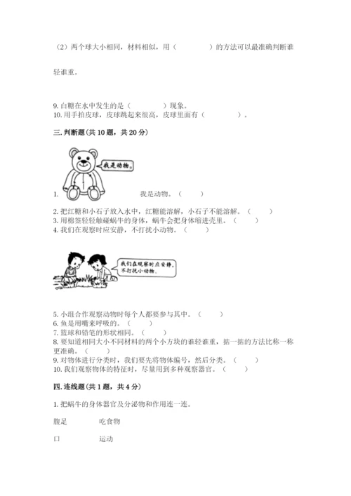 教科版一年级下册科学期末测试卷精品（全优）.docx