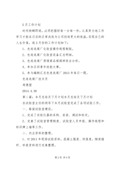 本月工作总结下月计划.docx