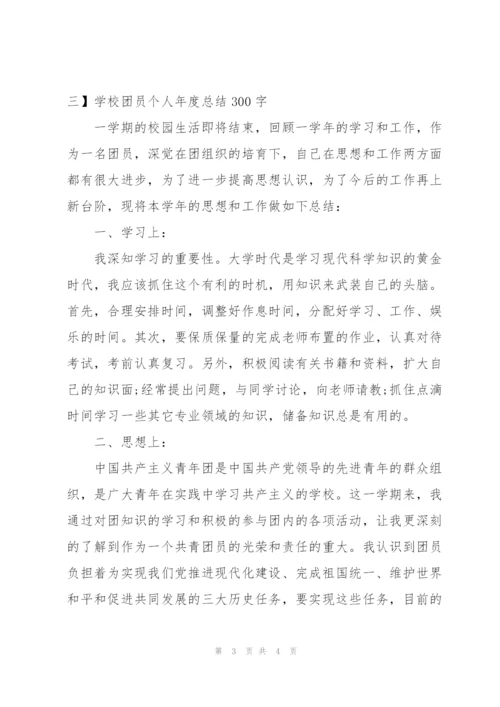 学校团员个人年度总结300字.docx