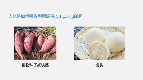 2025年春新人教九年级化学下册 11.1 化学与人体健康 课件(共42张PPT)