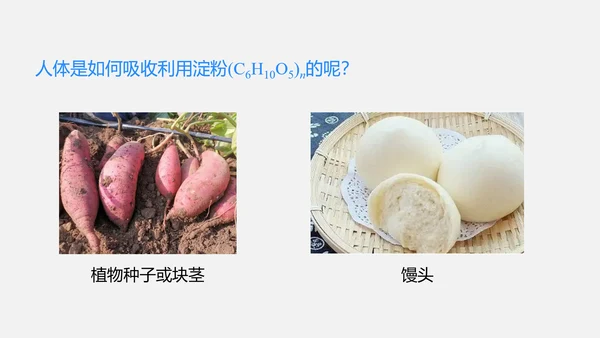 2025年春新人教九年级化学下册 11.1 化学与人体健康 课件(共42张PPT)