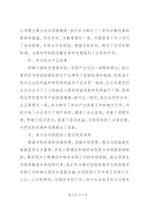 学校审计改革工作总结范文.docx