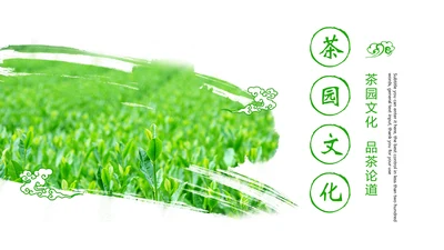 唯美绿色茶园文化茶艺品茶论道动态PPT模板