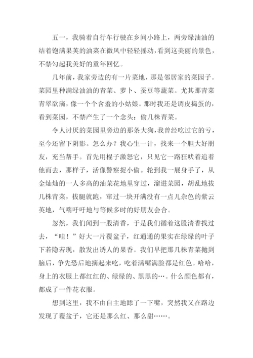 田园趣事作文.docx