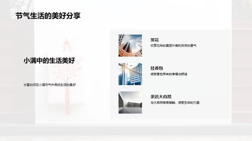 小满节气的生活韵味