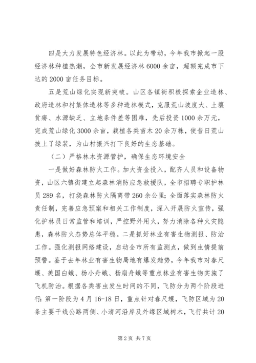 林业局工作总结和XX年工作计划.docx