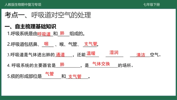 第三章 人体的呼吸（-七年级生物下学期期中考点大串讲（人教版）(共25张PPT)