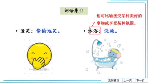 七上语文期中期末复习2_3词语运用每课晨读 课件(共47张PPT)
