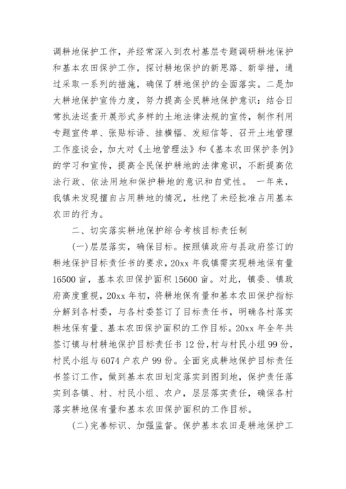 耕地保护责任目标自查报告.docx