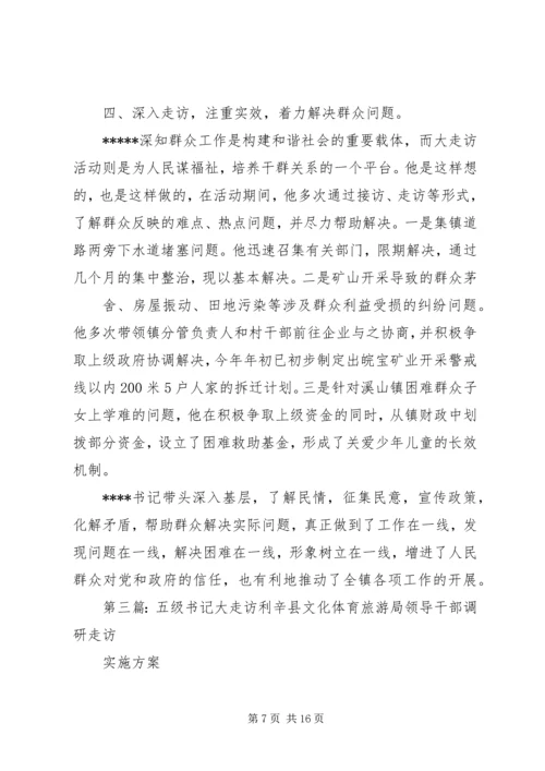 五级书记大走访活动小结.docx