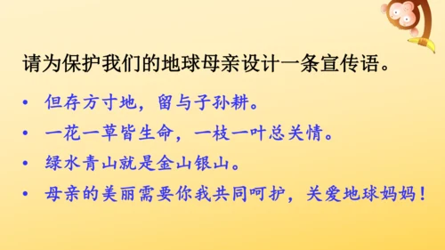 19 只有一个地球 课件