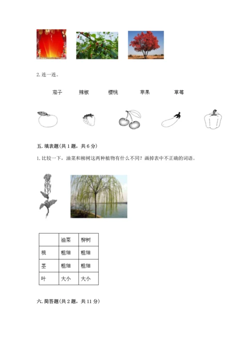 教科版科学一年级上册第一单元《植物》测试卷附完整答案【精选题】.docx