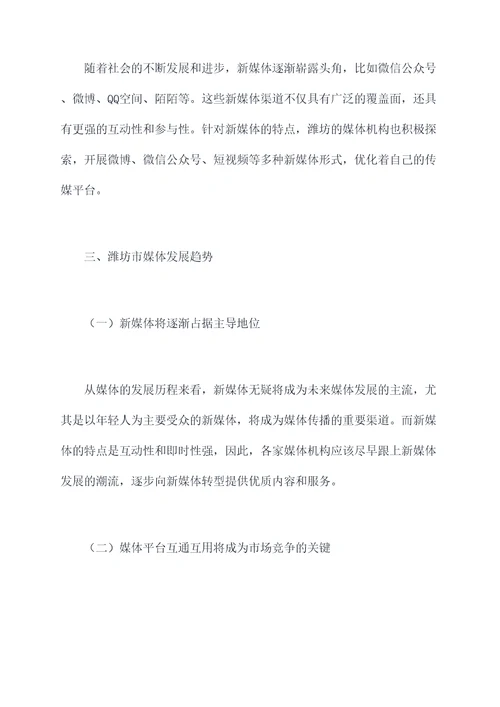 潍坊媒体调研报告